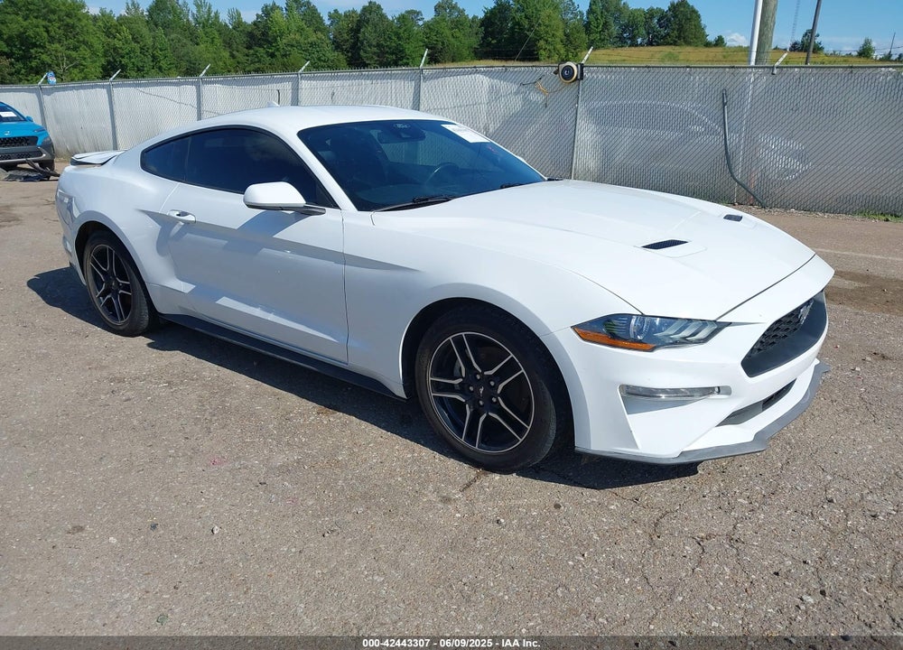 2023 FORD MUSTANG ECOBOOST PREMIUM FASTBACK VIN: 1FA6P8TH3P5105186