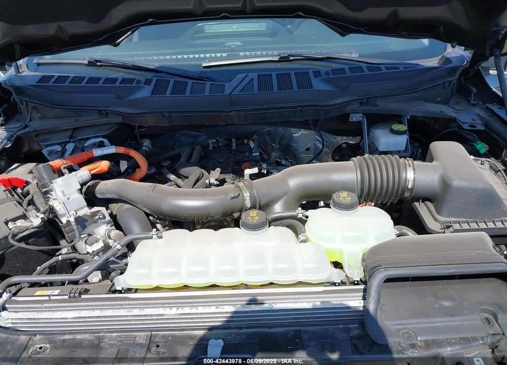 2024 FORD F-150 VIN: 1FTFW3LD3RFA44075
