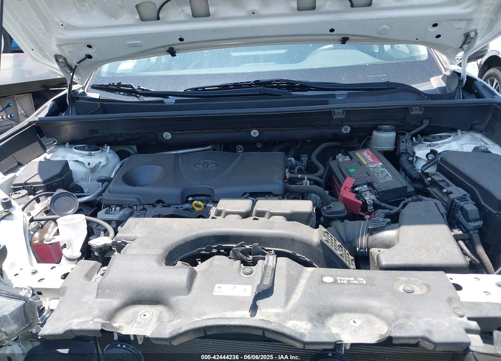 2019 TOYOTA RAV4 LE VIN: JTMH1RFV1KD029610
