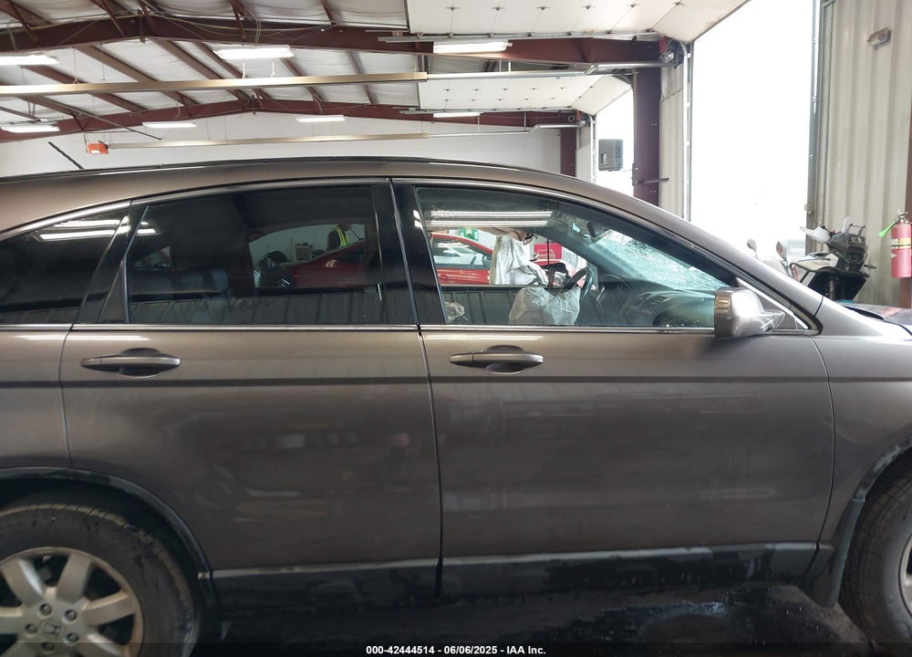 2009 HONDA CR-V EX-L VIN: 5J6RE48739L017463
