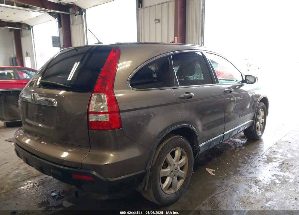 2009 HONDA CR-V EX-L VIN: 5J6RE48739L017463