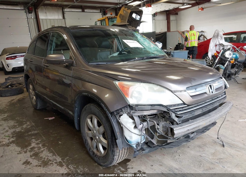2009 HONDA CR-V EX-L VIN: 5J6RE48739L017463