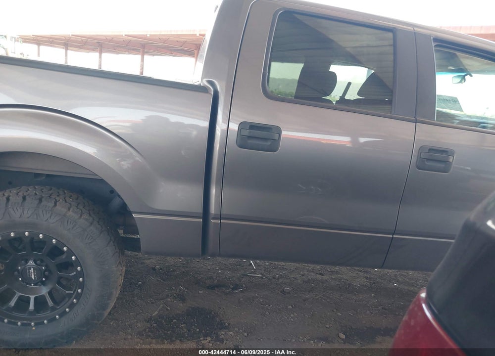 2009 FORD F-150 XL/XLT VIN: 1FTRW12819FA58692