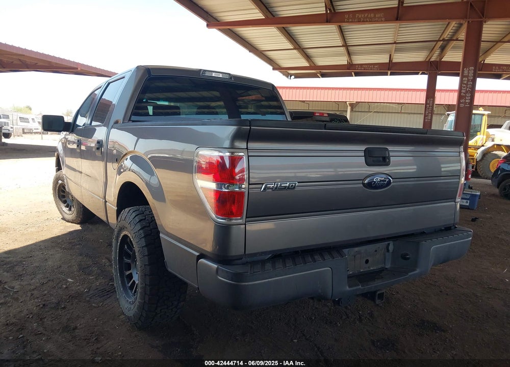2009 FORD F-150 XL/XLT VIN: 1FTRW12819FA58692