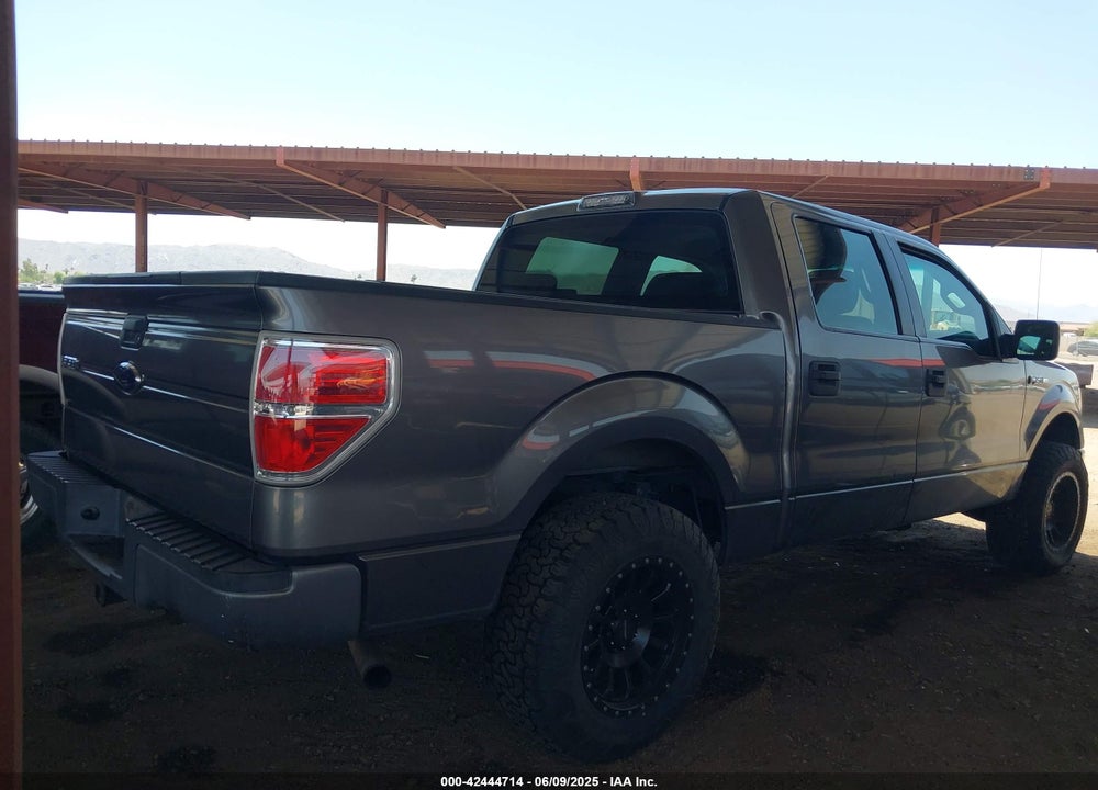 2009 FORD F-150 XL/XLT VIN: 1FTRW12819FA58692