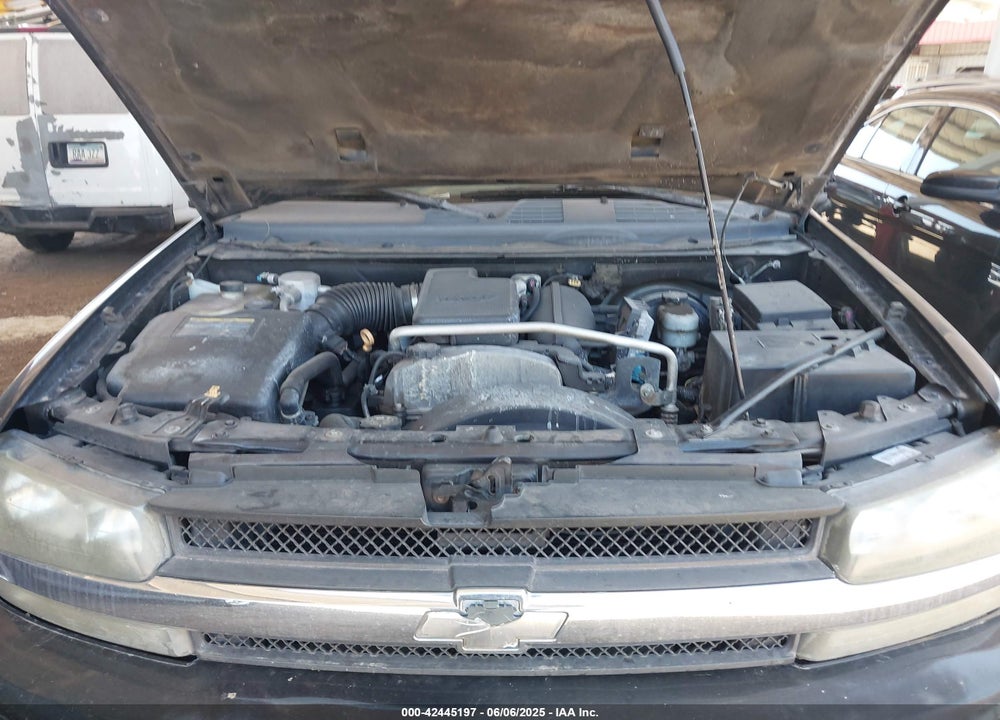 2007 CHEVROLET TRAILBLAZER VIN: 1GNDS13S572302999