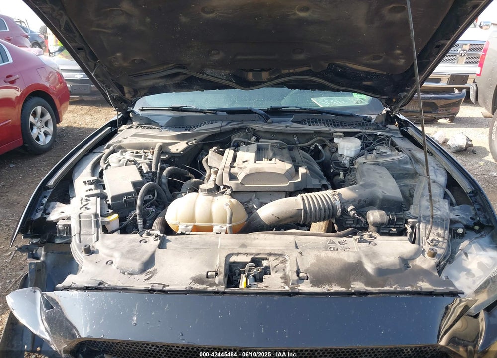 2019 FORD MUSTANG ECOBOOST VIN: 1FA6P8TH9K5180855