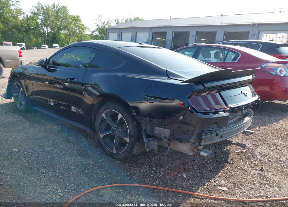 2019 FORD MUSTANG ECOBOOST VIN: 1FA6P8TH9K5180855
