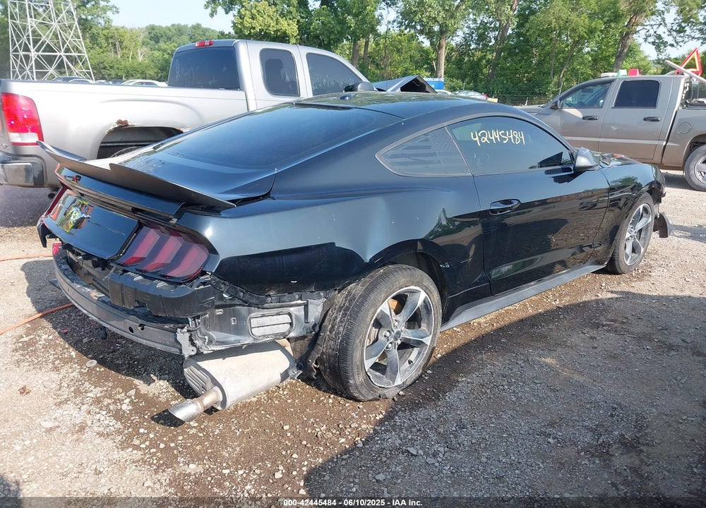 2019 FORD MUSTANG ECOBOOST VIN: 1FA6P8TH9K5180855