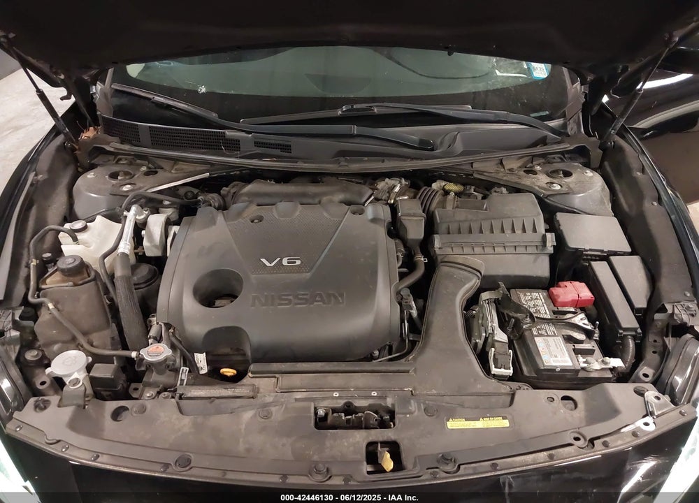 2019 NISSAN MAXIMA VIN: 1N4AA6AV1KC375806