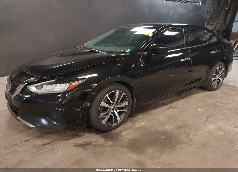 2019 NISSAN MAXIMA VIN: 1N4AA6AV1KC375806