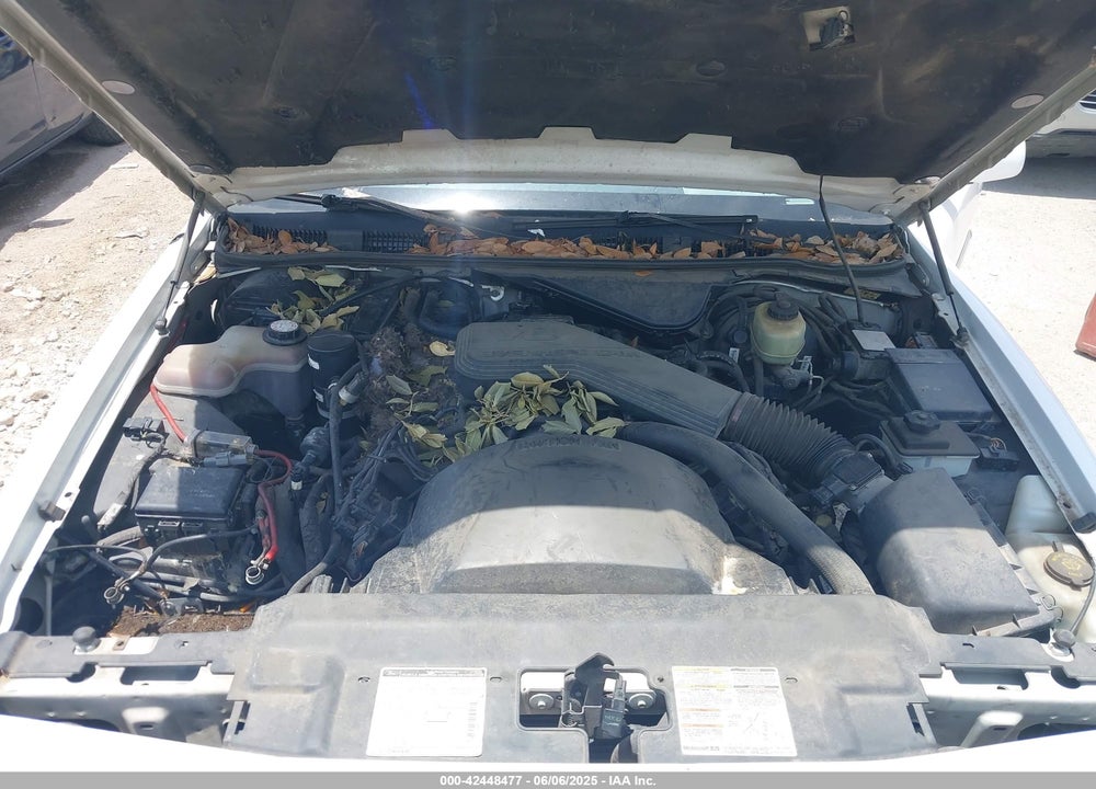 1994 MERCURY GRAND MARQUIS GS VIN: 2MELM74W9RX648717