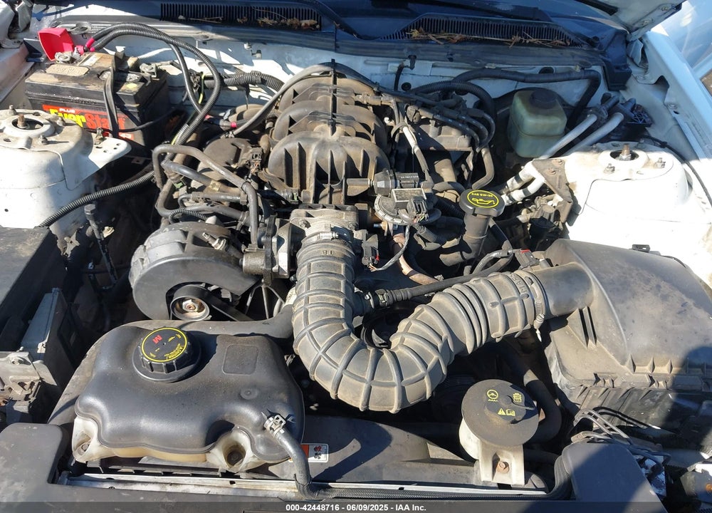 2005 FORD MUSTANG VIN: 1ZVFT80NX55112484