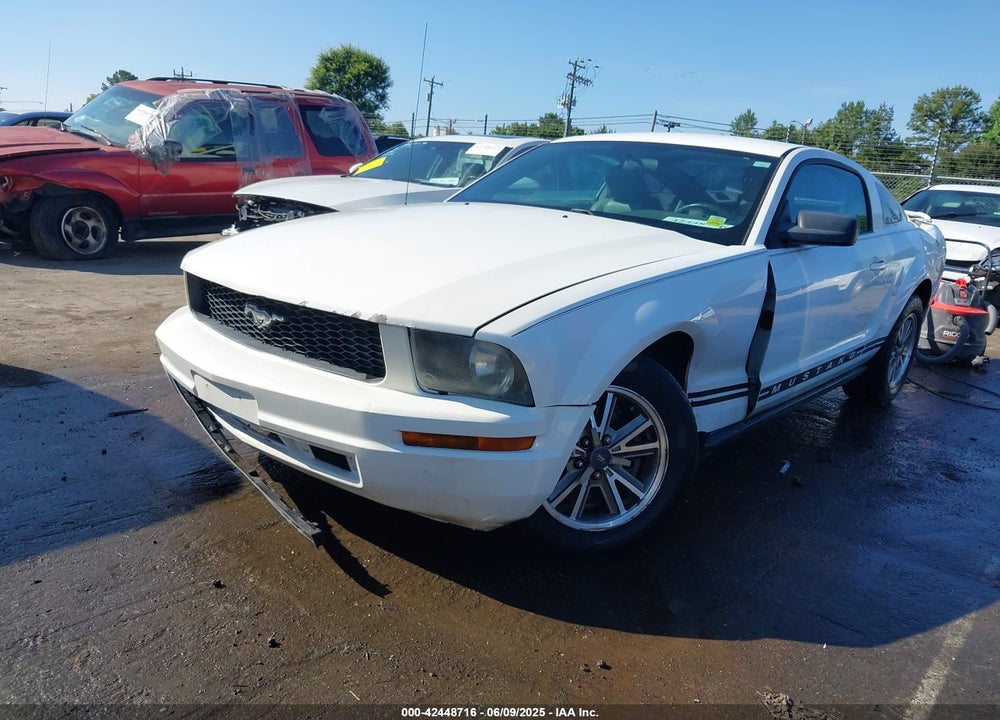 2005 FORD MUSTANG VIN: 1ZVFT80NX55112484
