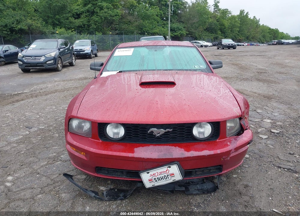 2007 FORD MUSTANG VIN: 1ZVHT82HX75223281
