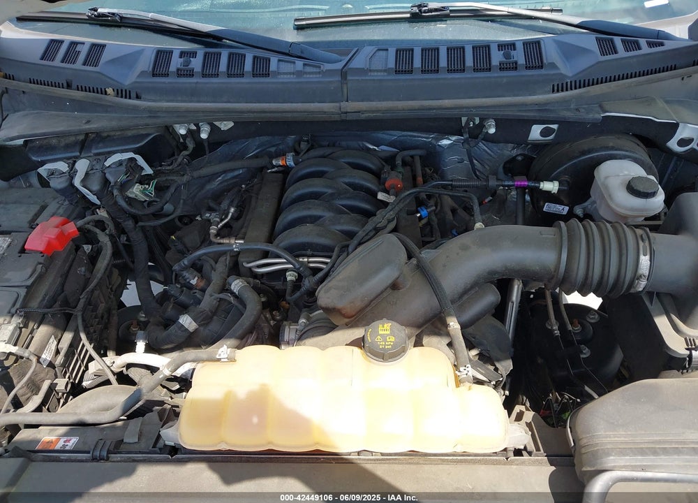 2019 FORD F-150 XL VIN: 1FTEX1C50KKC03721