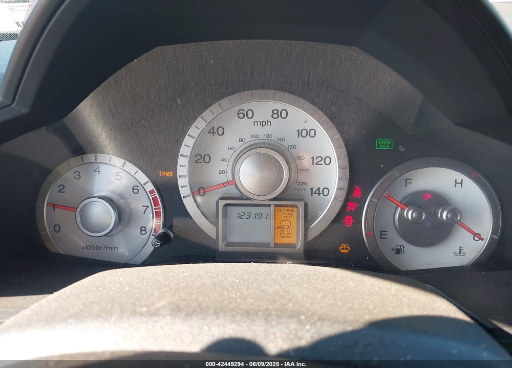 2009 HONDA PILOT EX-L VIN: 5FNYF38539B024889