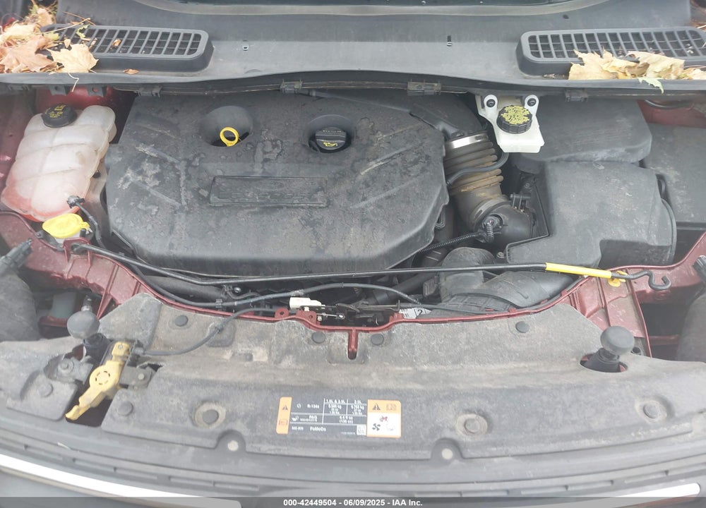 2014 FORD ESCAPE VIN: 1FMCU0G96EUE56277