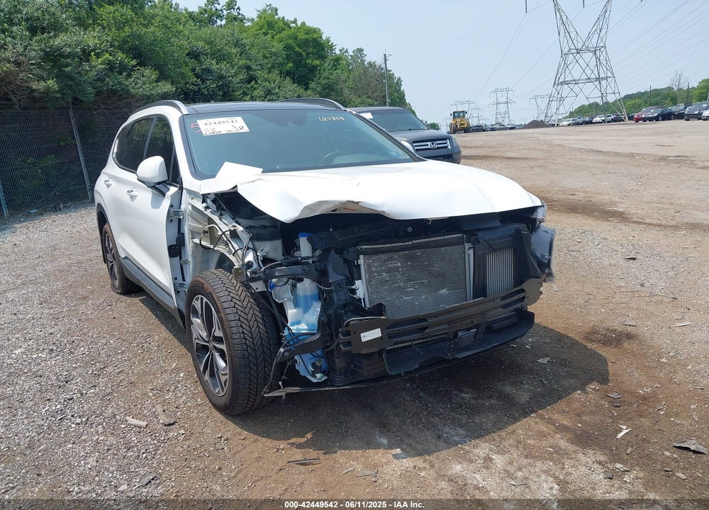 2019 HYUNDAI SANTA FE VIN: 5NMS5CAA5KH124805