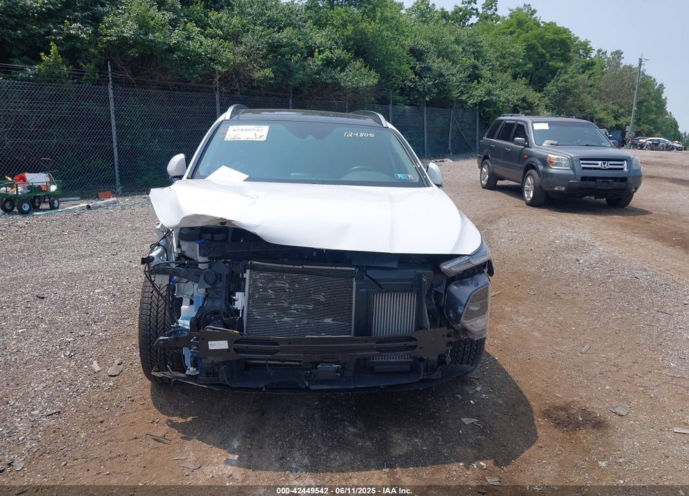 2019 HYUNDAI SANTA FE VIN: 5NMS5CAA5KH124805