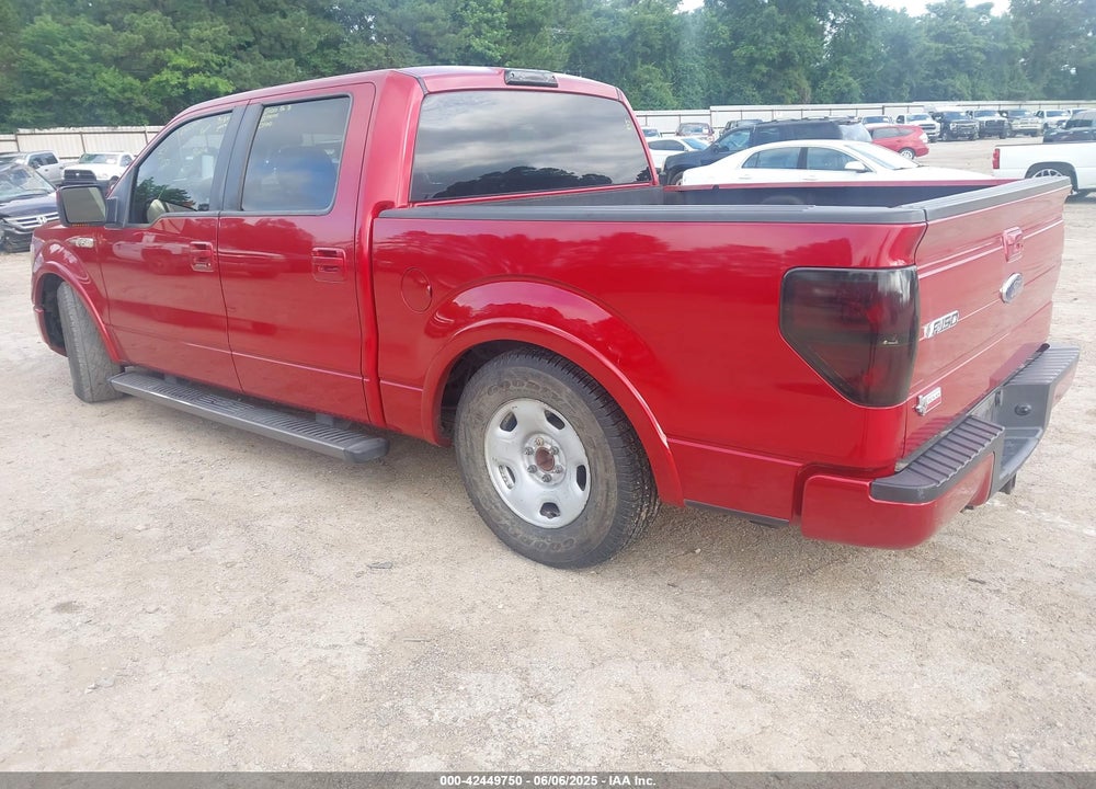 2010 FORD F-150 VIN: 1FTEW1C81AKB97942