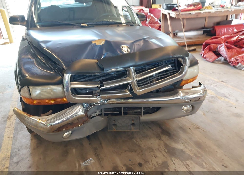 2002 DODGE DAKOTA SLT VIN: 1B7HG48N72S619501