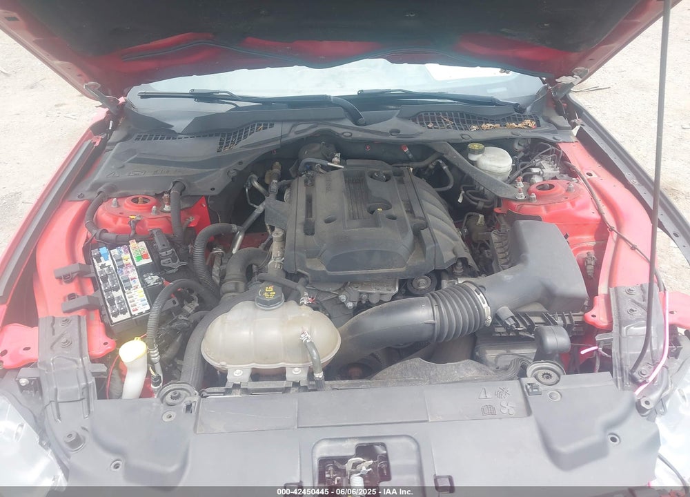 2019 FORD MUSTANG VIN: 1FATP8UH6K5181768