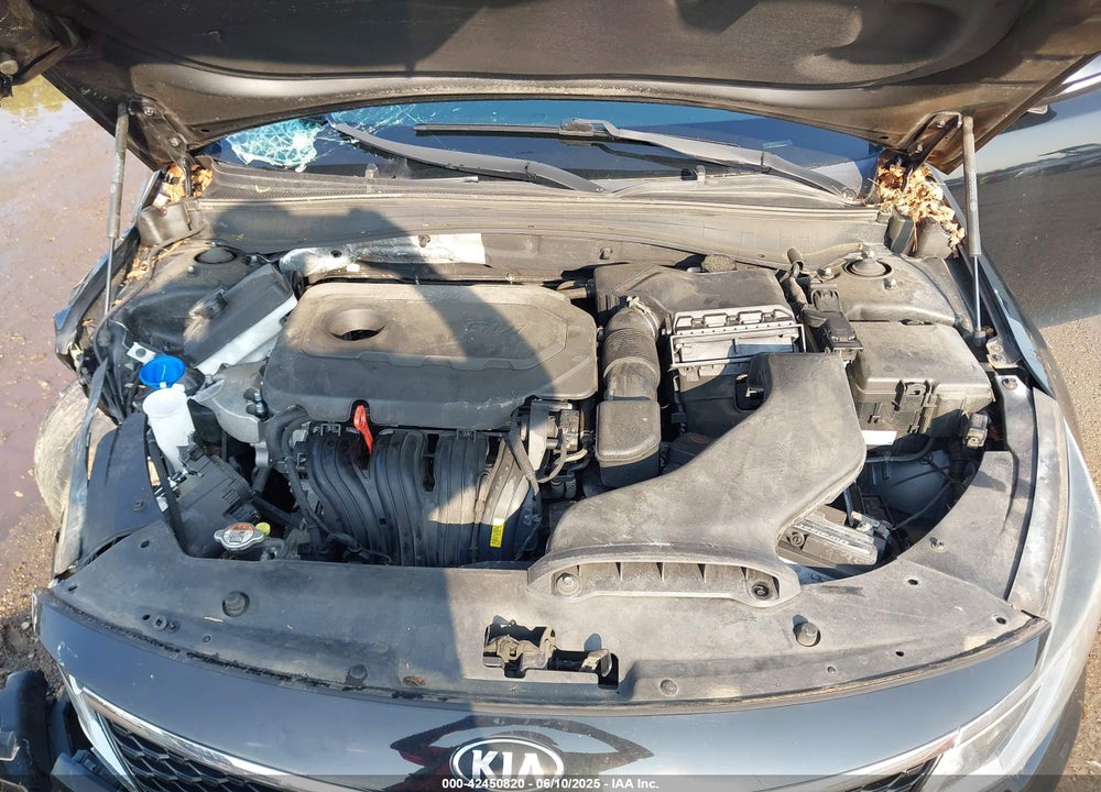 2016 KIA OPTIMA VIN: 5XXGT4L36GG092839