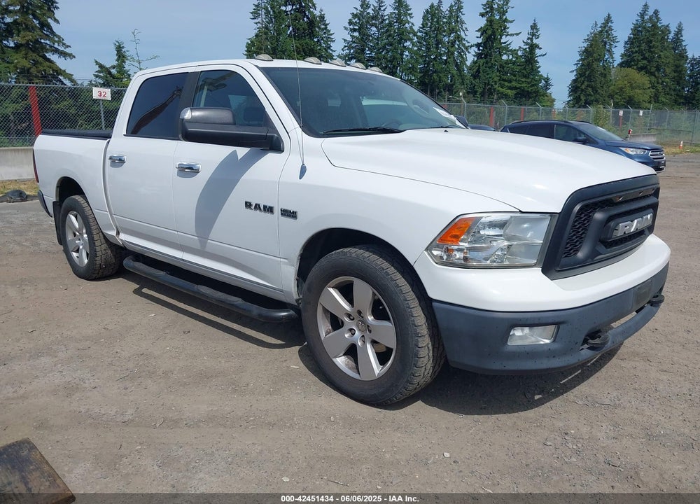 2010 DODGE RAM 1500 SLT/SPORT/TRX VIN: 1D7RV1CT9AS155114