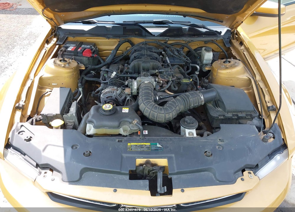 2010 FORD MUSTANG V6/V6 PREMIUM VIN: 1ZVBP8AN3A5123709