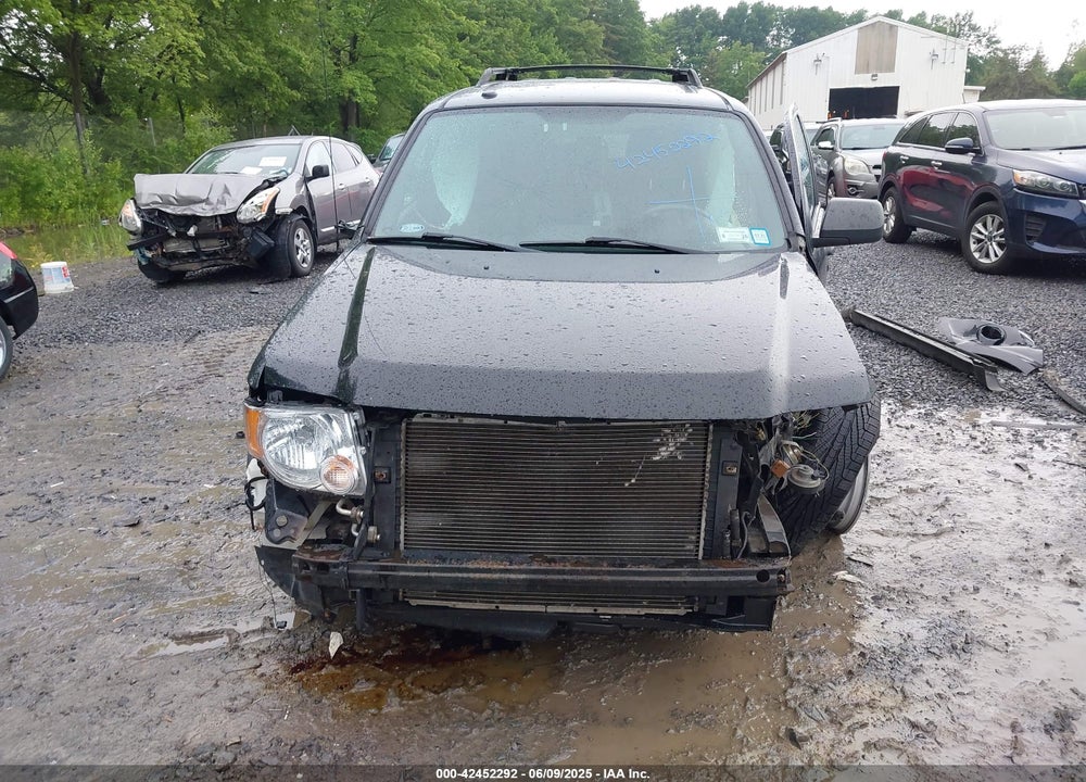 2010 FORD ESCAPE XLT VIN: 1FMCU9DG7AKD41569