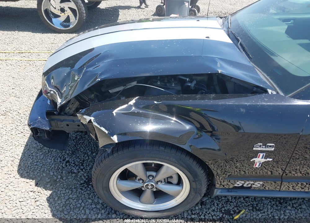 2006 FORD MUSTANG VIN: 1ZVFT80N065182187