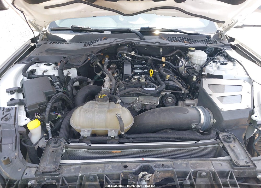 2019 FORD MUSTANG VIN: 1FA6P8TH0K5129356