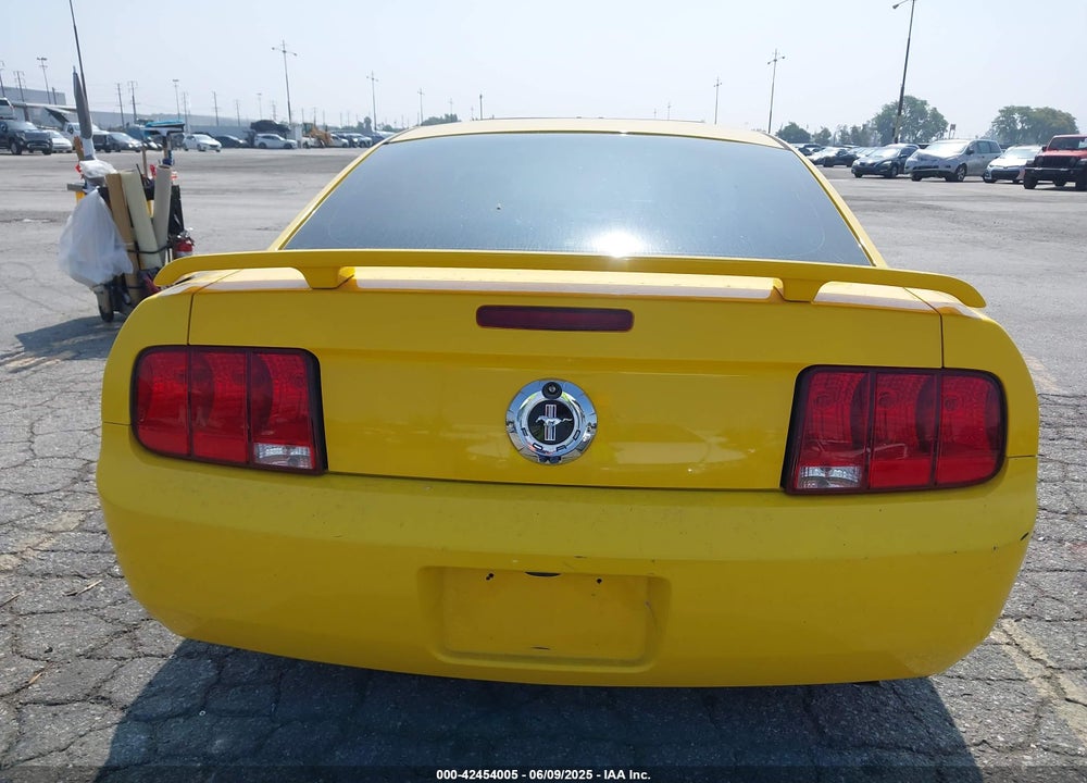 2006 FORD MUSTANG VIN: 1ZVFT80N265174513