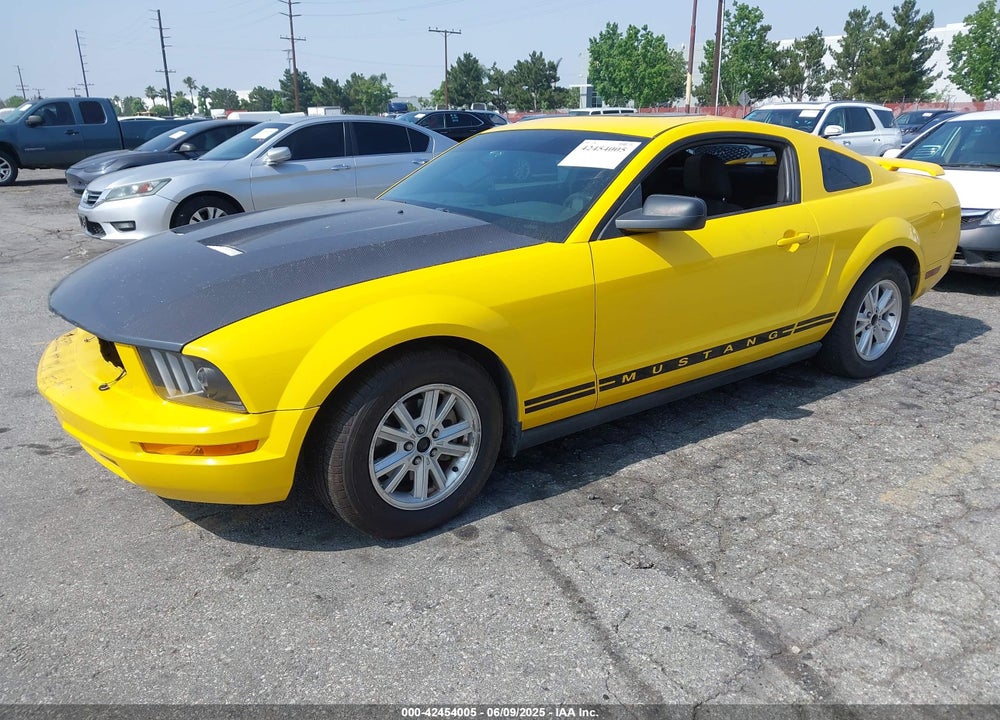 2006 FORD MUSTANG VIN: 1ZVFT80N265174513