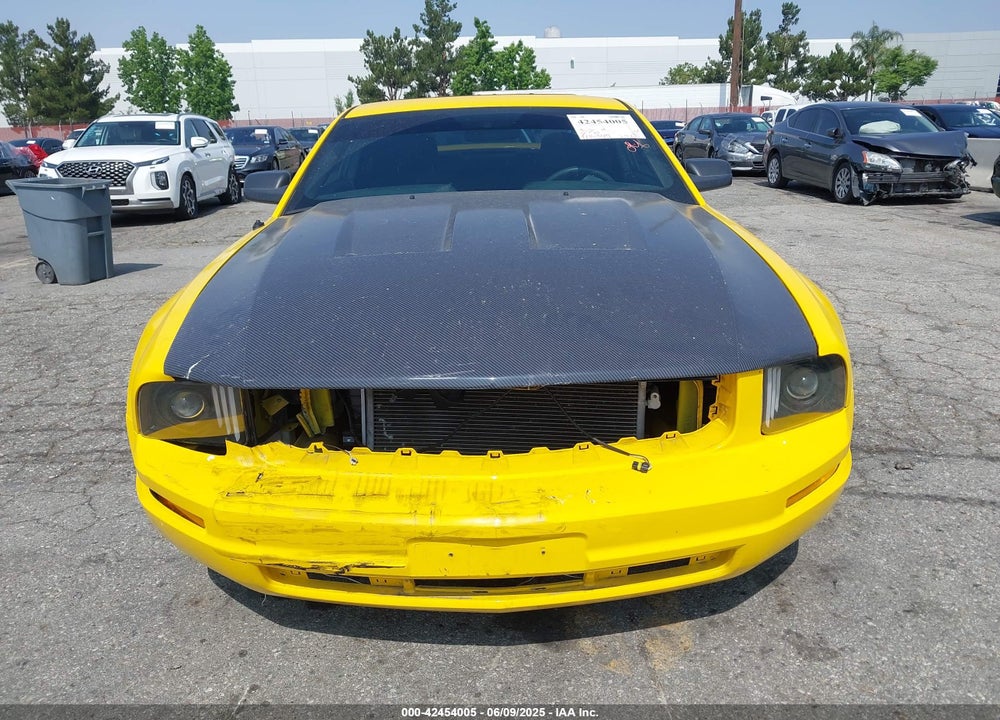 2006 FORD MUSTANG VIN: 1ZVFT80N265174513