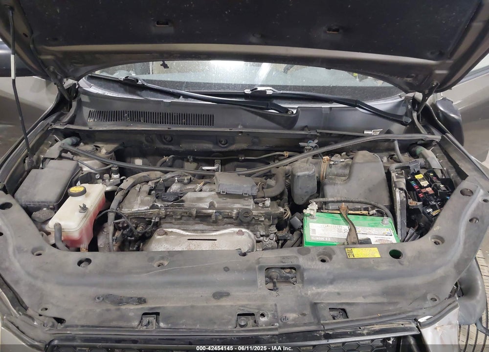 2009 TOYOTA RAV4 VIN: JTMBF33VX95010521