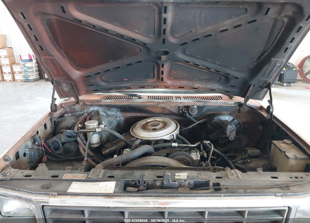 1981 FORD F150 VIN: 1FTDF15F3BUA40006