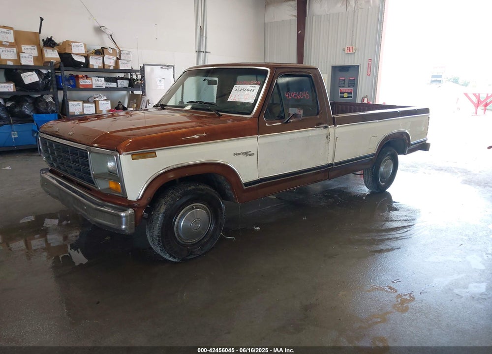 1981 FORD F150 VIN: 1FTDF15F3BUA40006
