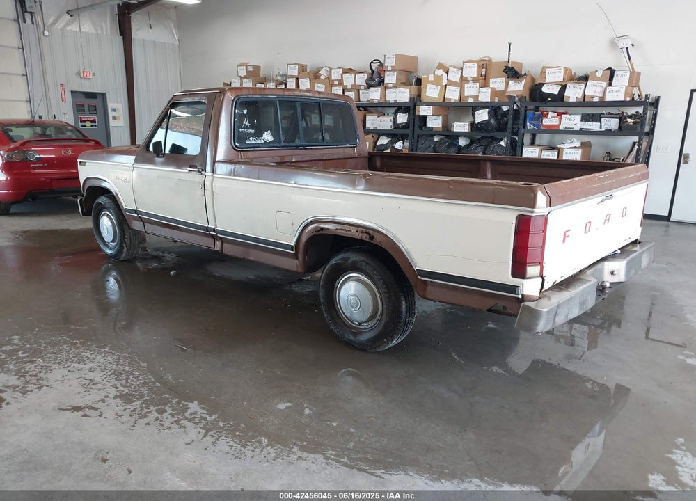 1981 FORD F150 VIN: 1FTDF15F3BUA40006
