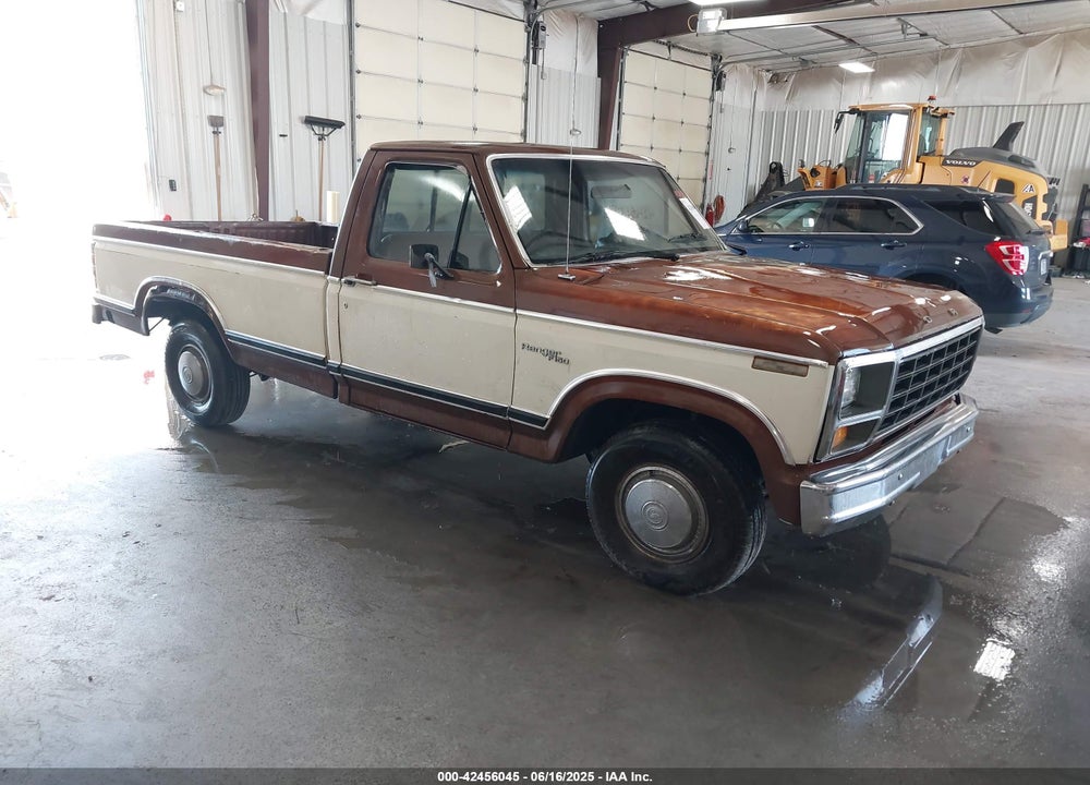 1981 FORD F150 VIN: 1FTDF15F3BUA40006