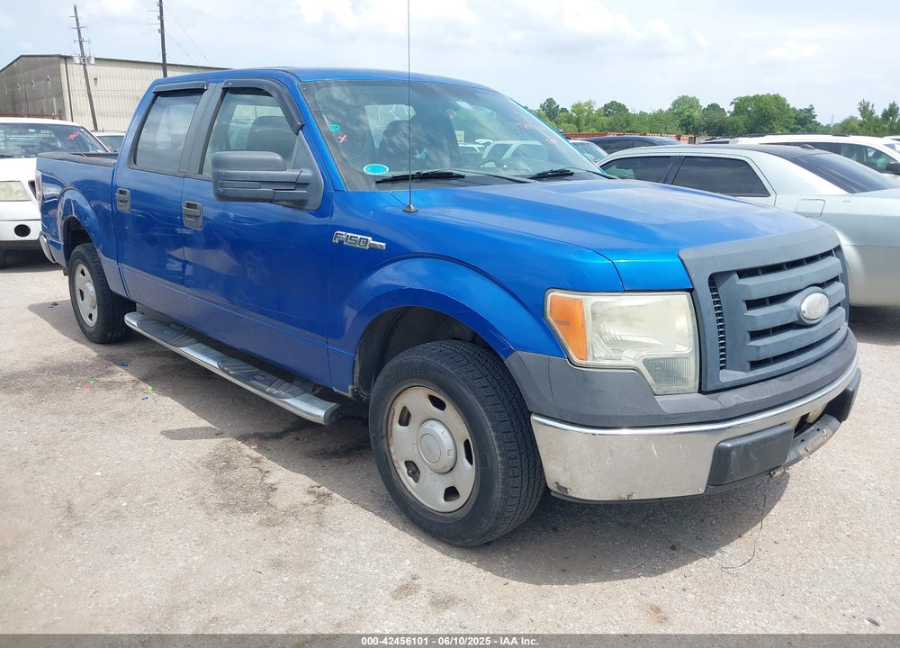 2009 FORD F-150 XL/XLT VIN: 1FTRW12W69FA63143