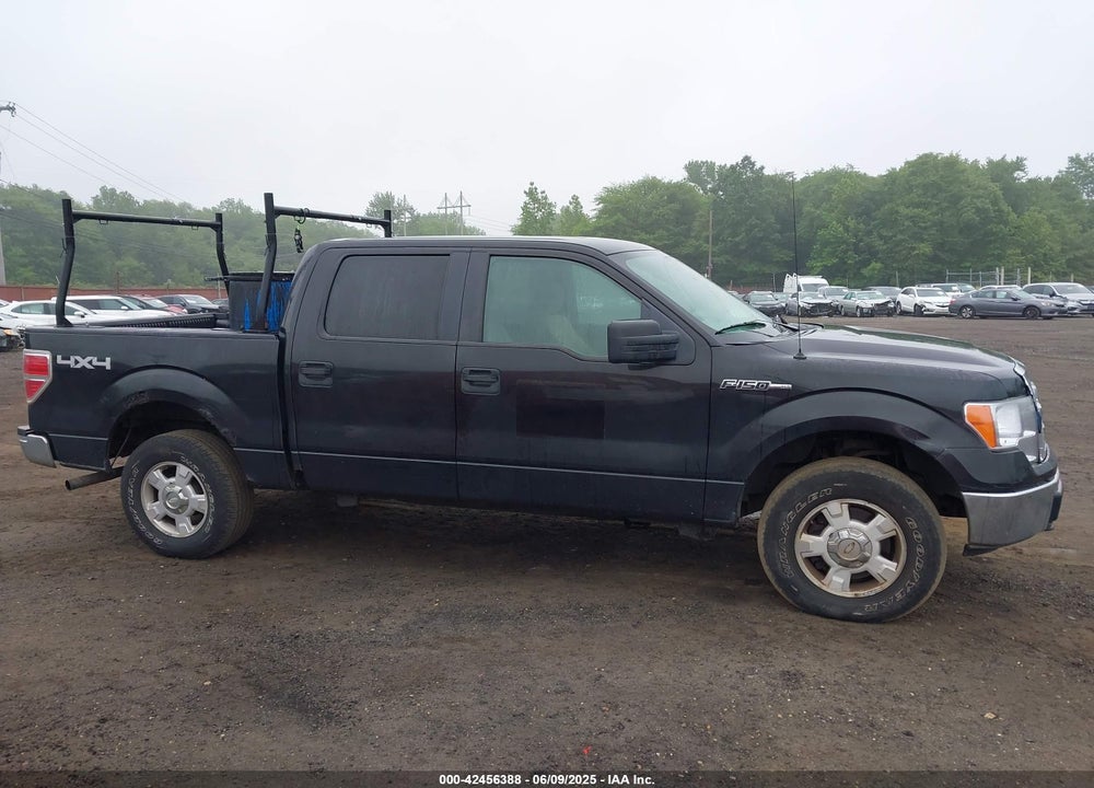 2010 FORD F-150 VIN: 1FTEW1E84AFA54957