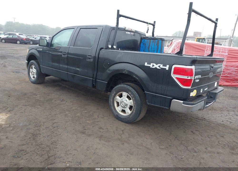 2010 FORD F-150 VIN: 1FTEW1E84AFA54957
