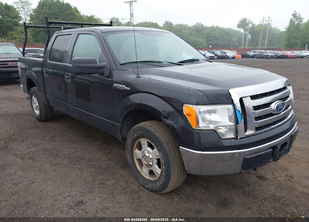 2010 FORD F-150 VIN: 1FTEW1E84AFA54957