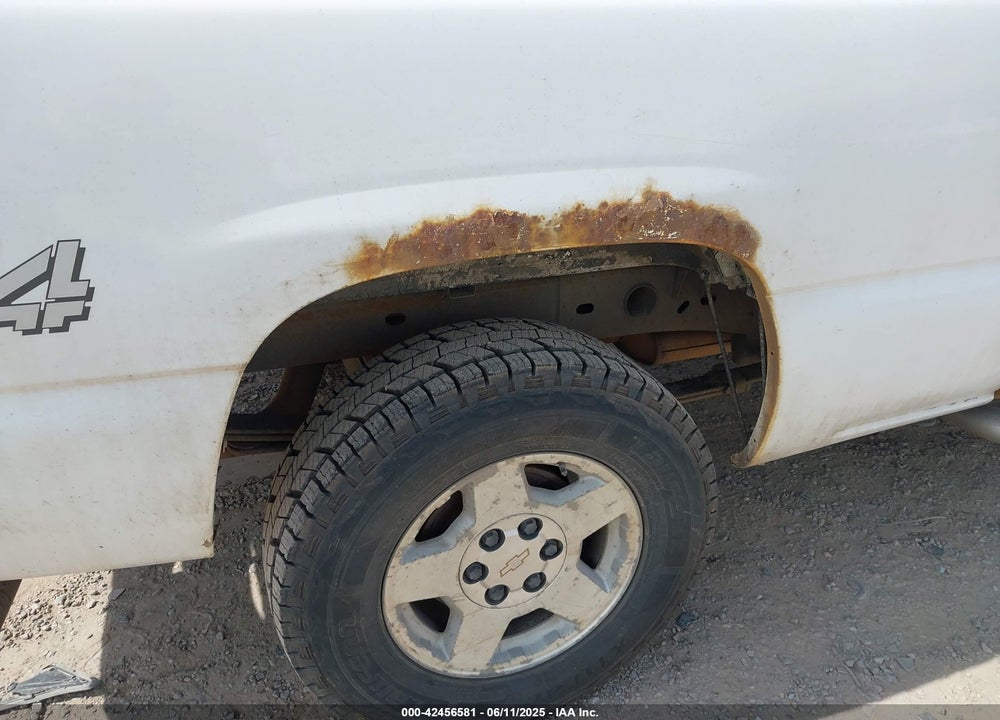 2006 CHEVROLET SILVERADO K1500 VIN: 2GCEK19B461283445