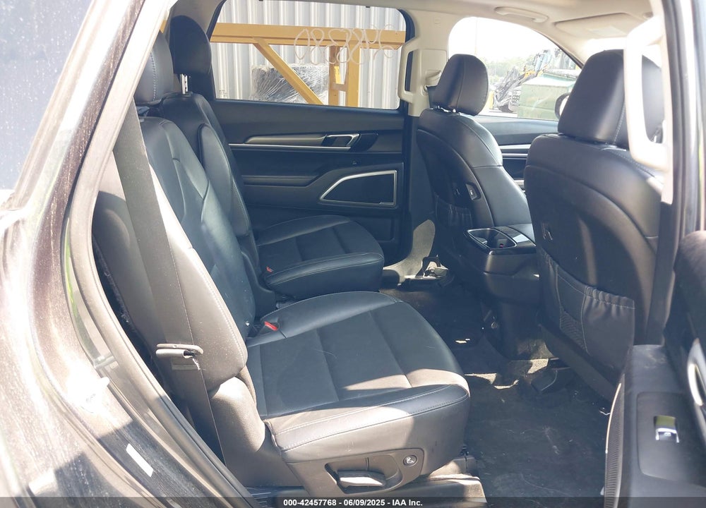 2020 KIA TELLURIDE VIN: 5XYP6DHC2LG031350