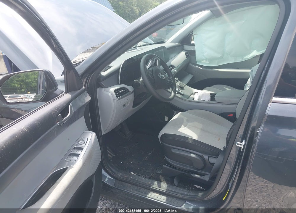 2020 HYUNDAI PALISADE VIN: KM8R1DHE2LU055814