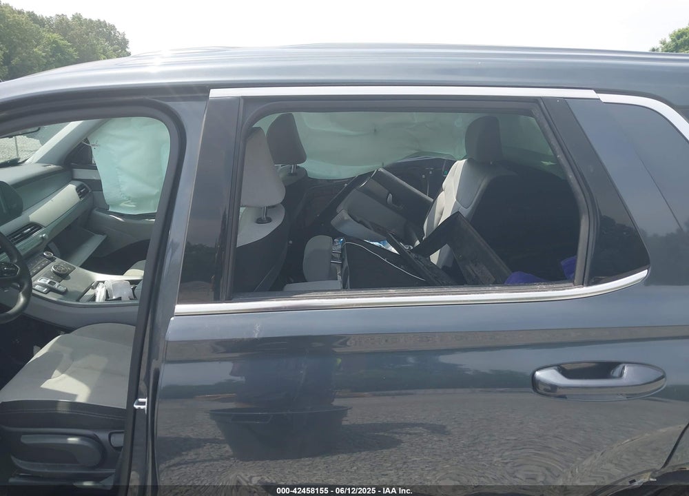 2020 HYUNDAI PALISADE VIN: KM8R1DHE2LU055814