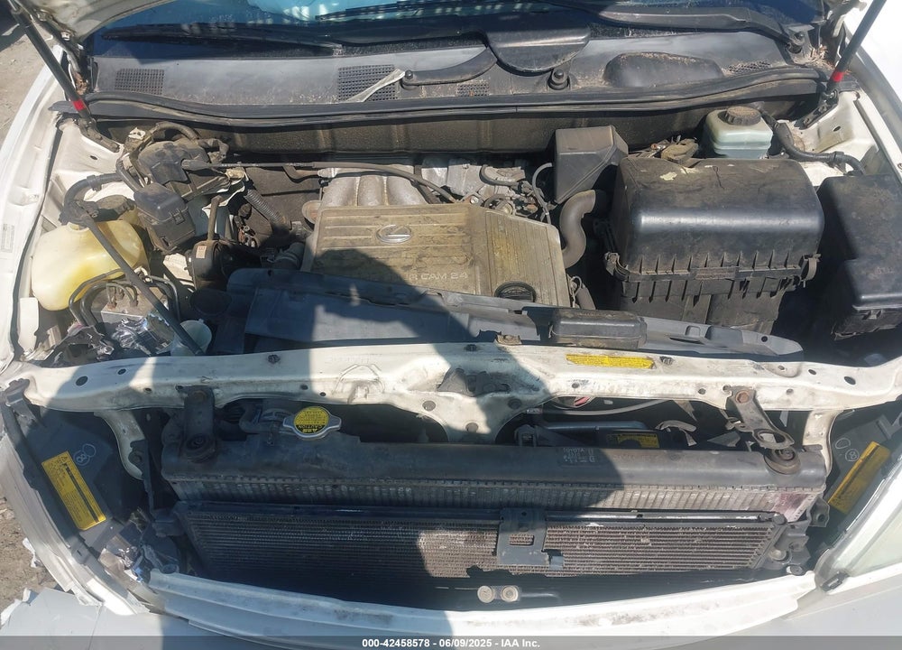 2003 LEXUS RX 300 VIN: JTJHF10U330298328